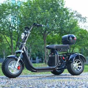 Off Road 3 Wheels Fat Tire Scooter Trike 3000W Motor 45KM/H USA STOCK