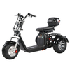 Off Road 3 Wheels Fat Tire Scooter Trike 05WQ with 60v 40ah Battery 2000W