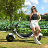 USA Stock Electric Fat Tire Scooter 1500w 48v 20ah with Big Seat without Logo