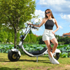 USA Stock Electric Fat Tire Scooter 1500w 48v 20ah with Big Seat without Logo