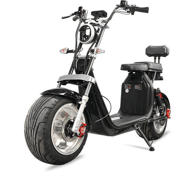 Citycoco Electric Bike