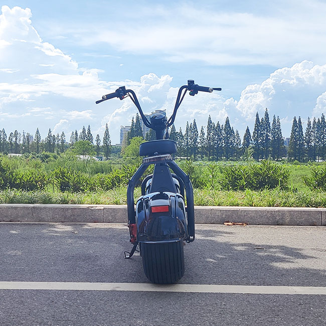 Discover Top Tourist Spots with Electric Fat Tire Scooter