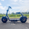 X1 Fat Tire Scooter with Front And Rear Lights And Removable Battery