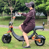 USA Stock Electric Fat Tire Scooter 1500w 48v 20ah with Big Seat without Logo