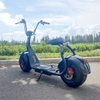 X1 Fat Tire Scooter with Front And Rear Lights And Removable Battery